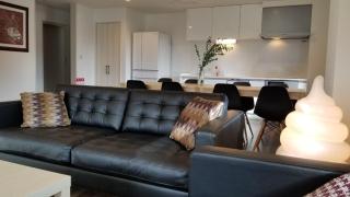 Hakuba Downtown Apartments - Hakuba - 2