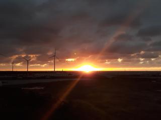 Bae Bae Guesthouse - 7