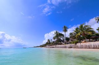 Blue Oyster Hotel - Jambiani - 1