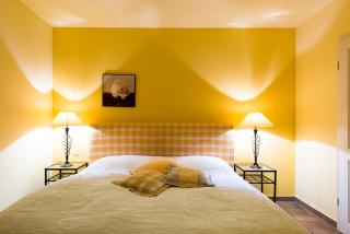 Fleesensee Resort & Spa - Göhren-Lebbin - 8