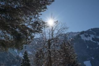 Villa Volgger - Mayrhofen - 8