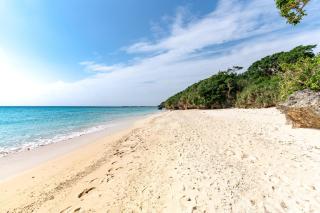 Green Beach House Iezima / Vacation STAY 8892 - Ie - 8
