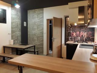 Joli 2 pièces esprit loft moderne - Pau - 1