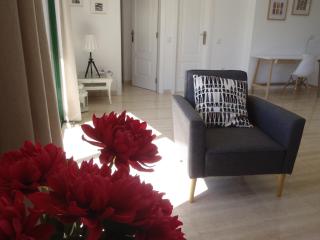 Clara's sun apt - Morro del Jable - 3