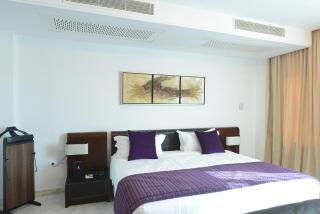 The Penthouse Suites Hotel - Tunisi - 3