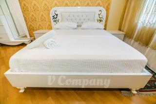 Winter Garden Apartment - Baku - 0