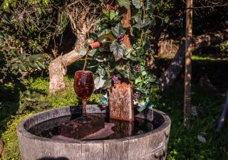 Moonstone Landing - Cambria - 6