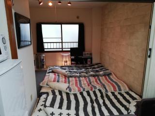 Almaz Place #205 - Sapporo - 6