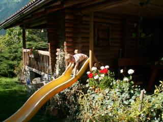 Landhaus Tyrol - Mayrhofen - 5