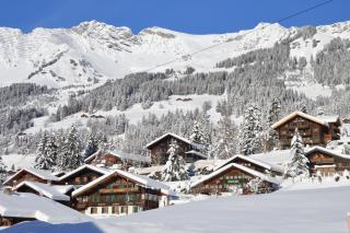 Hôtel Les Sources - Les Diablerets - 4