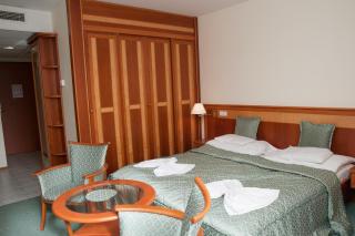 Palast Wellness Appartement - Hévíz - 8