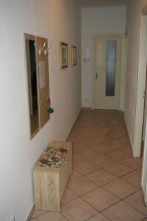 Damonte A - 8