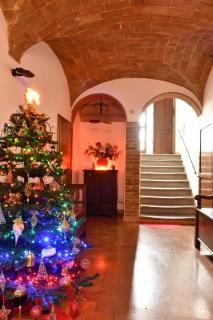 Camere Sotto le Stelle - 5