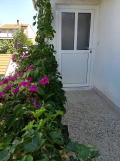 Filip - Biograd na Moru - 8