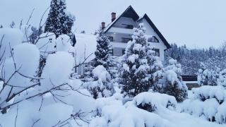 Pensiunea Almas - Piatra Neamţ - 9