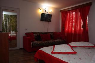Casa Fanel - Buşteni - 4