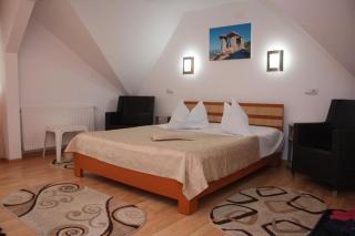 Casa Fanel - Buşteni - 9