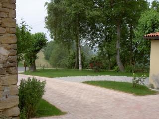 Bricco di Sant' Eufemia - 1