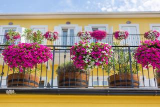 Frajona Apartments - Malinska - 5