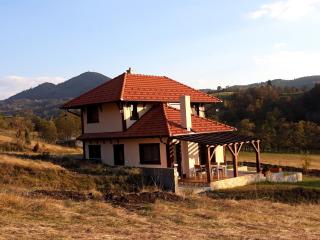 Wass House - Kosjerić - 8