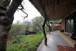 Naledi Lodges - Balule Game Reserve - 1