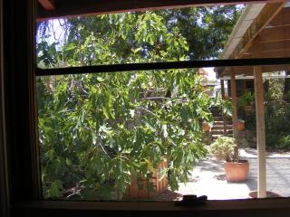 Trevalia Accommodation - Penwortham - 6