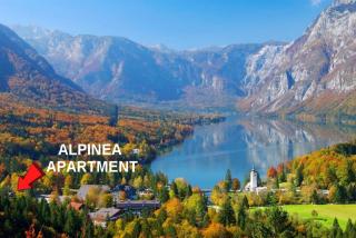 Apartment Alpinea - 0