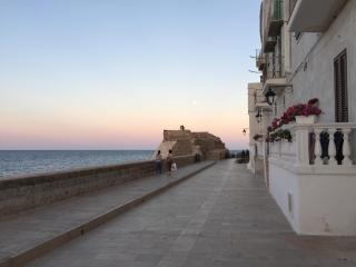 Casa Colibri - Monopoli - 0