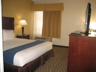 Holiday Inn Express Scottsdale North by IHG - Scottsdale - 9