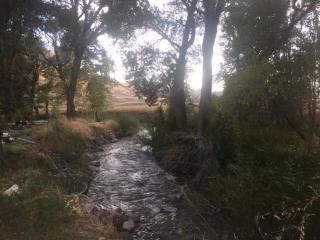 Eycat Lodging Company - Wapiti - 3