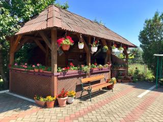 Pensiunea Confort - Suceava - 9