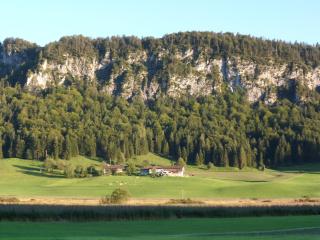 Pfandlhof - Walchsee - 9