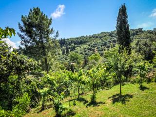 Hidden gem in nature reserve near the beach - Corfu South - Kritiká - 9