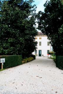 B&B Kiwi - Agugliaro - 0