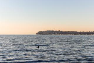 Birch Bay Sunset View - Bellingham - 1