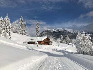 Herbst Alm - 9