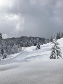 Herbst Alm - 8