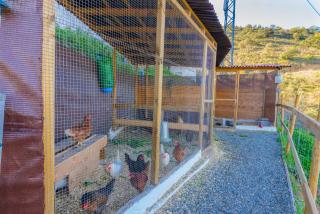 Complejo Rural El Mirador - Málaga - 3