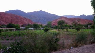 Del Amauta Hosteria - Purmamarca - 4