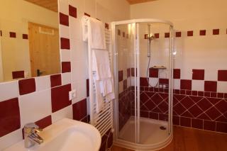 GRIASS EICH Ski-to-door Apartment by Isa Badkleinkirchheim - 3