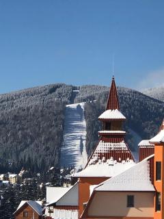 Villa Blanc - Bukovel - 4