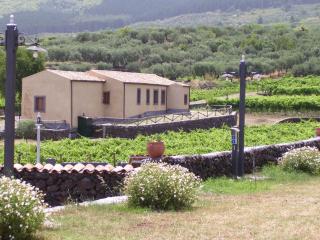 Etna Wine Azienda Agrituristica - Passopisciaro - 5