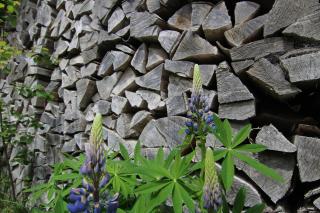 Landhaus Enztalperle - 2