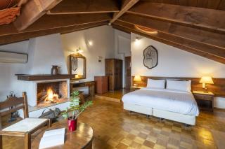 Anemolia Mountain Resort - Arachova - 4