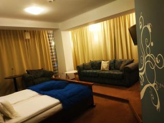 Hotel Oxigen Petrosani - Petroşani - 6