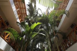 Casa Andina Standard Nasca - 1