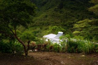 Hotel Quelitales - 8