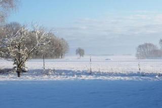 Hof Heideland 2 - Fenster zum Hof - Eichholz - 2