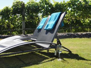 Pine Hill Lodge In Vineyard - Mapua - 1