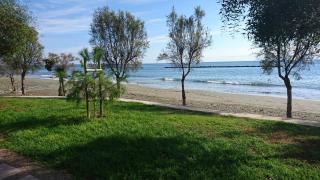Lordos Hotel Apts Limassol - Limassol - 6